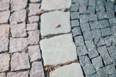 Gündüzleri şık bahçede çeşitli renklerde birbirine yakın köşeler.