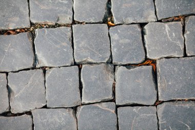 Gündüzleri şık bahçede çeşitli renklerde birbirine yakın köşeler.