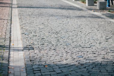 Gündüzleri şık bahçede çeşitli renklerde birbirine yakın köşeler.