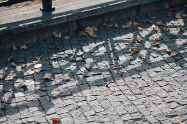 Gündüzleri şık bahçede çeşitli renklerde birbirine yakın köşeler.