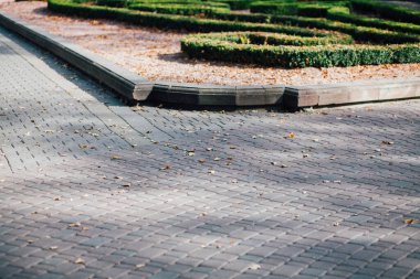 Gündüzleri şık bahçede çeşitli renklerde birbirine yakın köşeler.