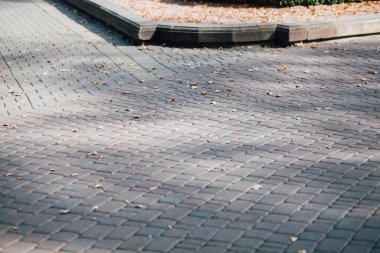 Gündüzleri şık bahçede çeşitli renklerde birbirine yakın köşeler.