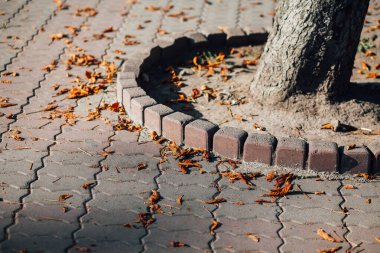 Gündüzleri şık bahçede çeşitli renklerde birbirine yakın köşeler.