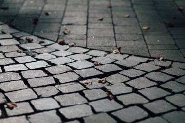 Gündüzleri şık bahçede çeşitli renklerde birbirine yakın köşeler.