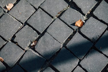 Gündüzleri şık bahçede çeşitli renklerde birbirine yakın köşeler.