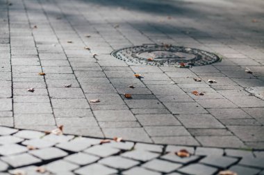 Gündüzleri şık bahçede çeşitli renklerde birbirine yakın köşeler.