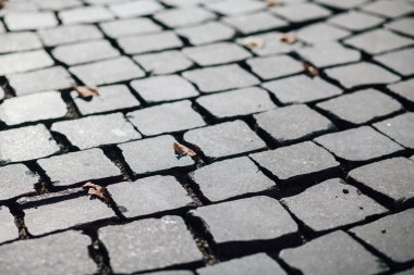 Gündüzleri şık bahçede çeşitli renklerde birbirine yakın köşeler.