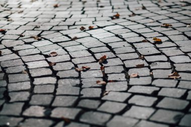 Gündüzleri şık bahçede çeşitli renklerde birbirine yakın köşeler.