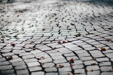 Gündüzleri şık bahçede çeşitli renklerde birbirine yakın köşeler.