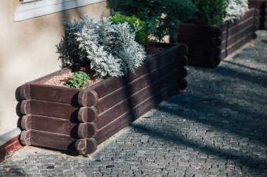 Gündüz vakti yeşil bitkilerle dolu kutular. 