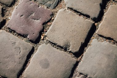 Gündüzleri şık bahçede çeşitli renklerde birbirine yakın köşeler.