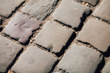 Gündüzleri şık bahçede çeşitli renklerde birbirine yakın köşeler.