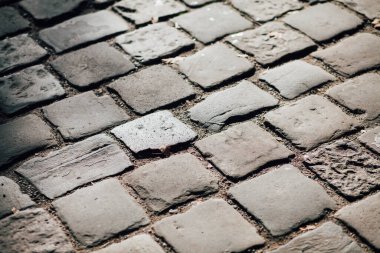 Gündüzleri şık bahçede çeşitli renklerde birbirine yakın köşeler.