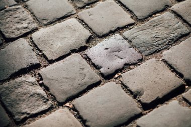 Gündüzleri şık bahçede çeşitli renklerde birbirine yakın köşeler.