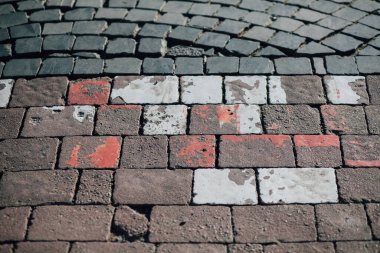 Gündüzleri şık bahçede çeşitli renklerde birbirine yakın köşeler.