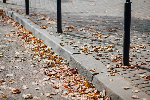 公園内の遊歩道に鉄の棒で石を敷く — ストック写真