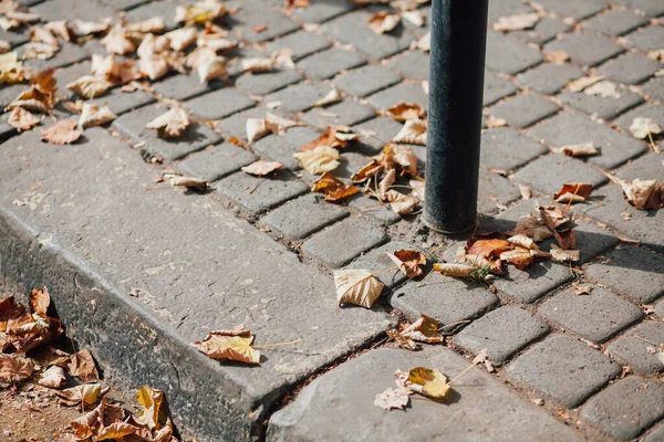 Pavimentazione Pietre Vari Colori Percorso Piedi Nel Parco — Foto Stock