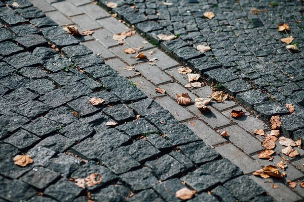 Geschachtelte Pflastersteine Verschiedenen Farben Schicken Garten Tagsüber — Stockfoto