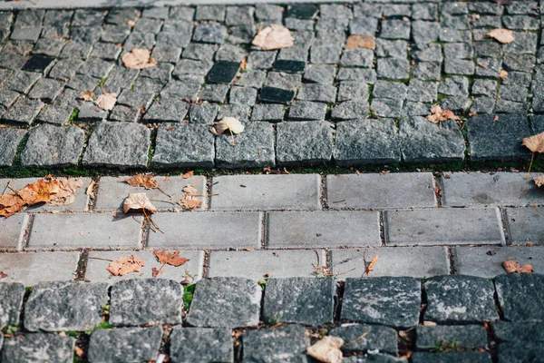 Pavers Aninhados Várias Cores Jardim Chique Durante Dia — Fotografia de Stock