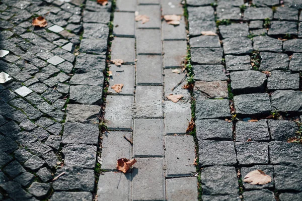 Pavimentazioni Nidificate Vari Colori Giardino Chic Durante Giorno — Foto Stock