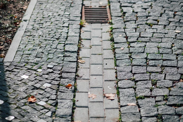 Gündüzleri şık bahçede çeşitli renklerde birbirine yakın köşeler.