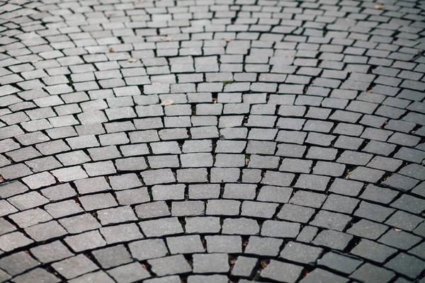 Gündüzleri şık bahçede çeşitli renklerde birbirine yakın köşeler.