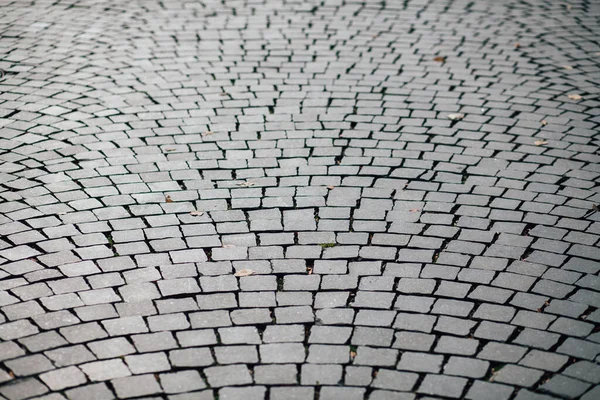 Gündüzleri şık bahçede çeşitli renklerde birbirine yakın köşeler.