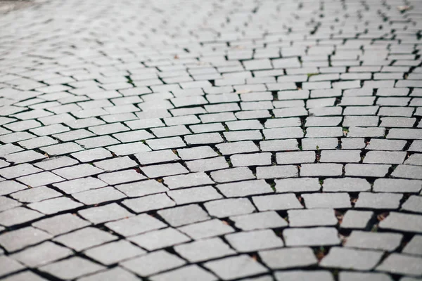 Gündüzleri şık bahçede çeşitli renklerde birbirine yakın köşeler.