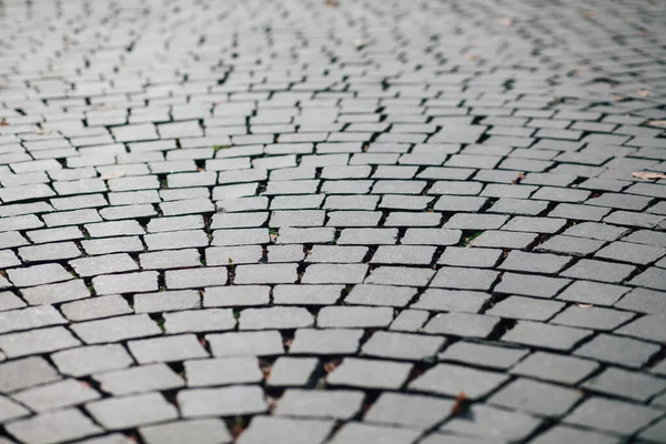 Gündüzleri şık bahçede çeşitli renklerde birbirine yakın köşeler.