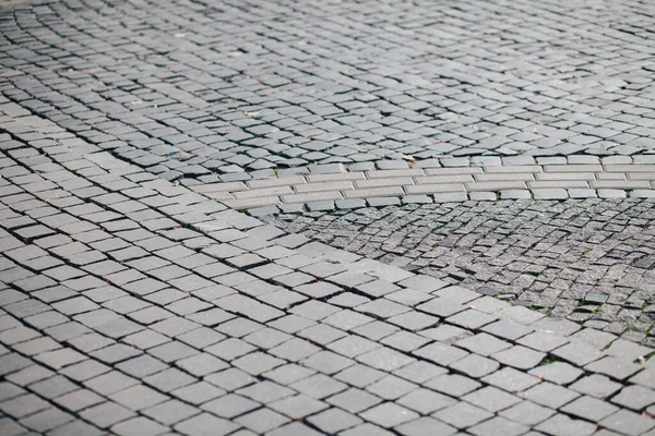 Nested Pavers Various Colors Chic Garden Daytime — Stock Photo, Image