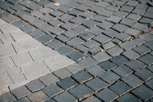 Gündüzleri şık bahçede çeşitli renklerde birbirine yakın köşeler.