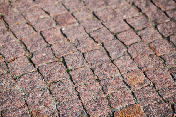 Nested pavers of various colors in chic garden at daytime