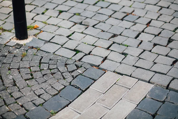 Geschachtelte Pflastersteine Verschiedenen Farben Schicken Garten Tagsüber — Stockfoto