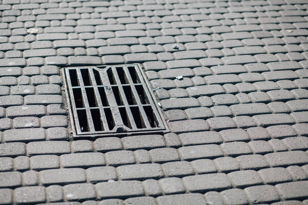 Вложенные тротуары различных цветов в шикарном саду в дневное время