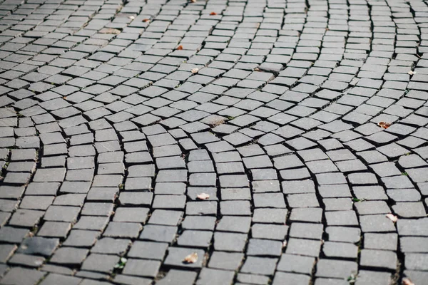 Pavimentazioni Nidificate Vari Colori Giardino Chic Durante Giorno — Foto Stock