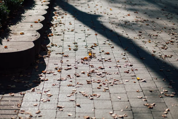 Geneste Straatstenen Van Verschillende Kleuren Chique Tuin Overdag — Stockfoto