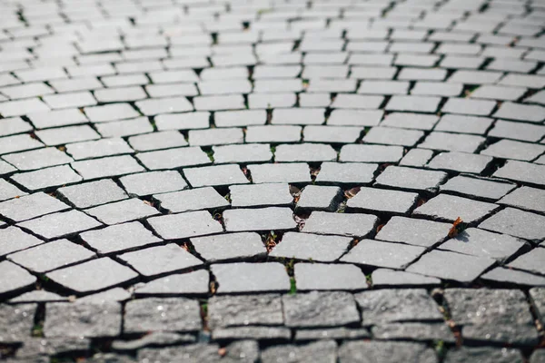 Gündüzleri şık bahçede çeşitli renklerde birbirine yakın köşeler.