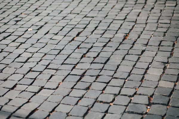 Pavers Aninhados Várias Cores Jardim Chique Durante Dia — Fotografia de Stock