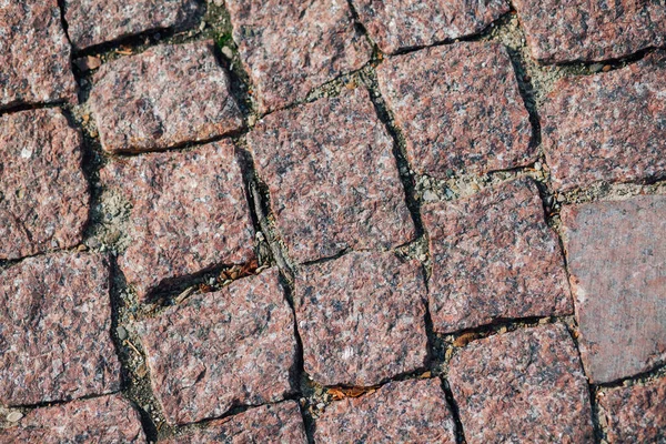 Beágyazott Járdák Különböző Színekben Elegáns Kertben Nappal — Stock Fotó