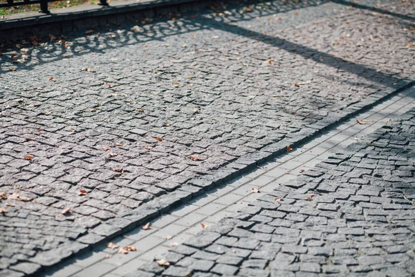 Pavers Aninhados Várias Cores Jardim Chique Durante Dia — Fotografia de Stock