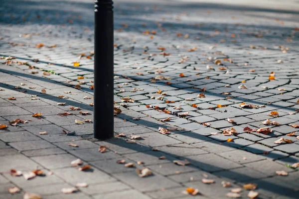 Pavimentazione Pietre Con Pali Ferro Piedi Sentiero Nel Parco — Foto Stock