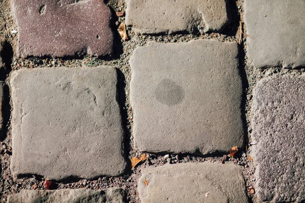 Gündüzleri şık bahçede çeşitli renklerde birbirine yakın köşeler.