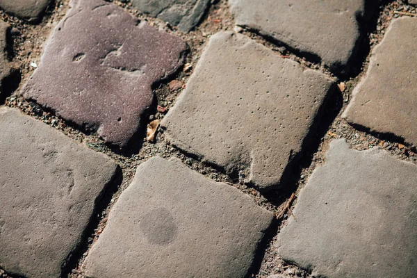 Gündüzleri şık bahçede çeşitli renklerde birbirine yakın köşeler.