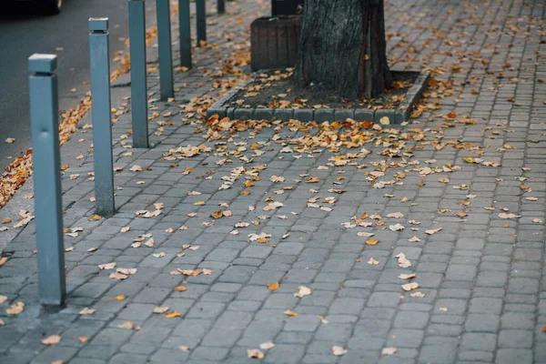 Pavimentazione Pietre Con Pali Ferro Piedi Sentiero Nel Parco — Foto Stock