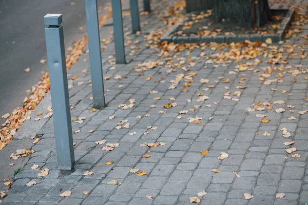 Pavimentazione Pietre Con Pali Ferro Piedi Sentiero Nel Parco — Foto Stock