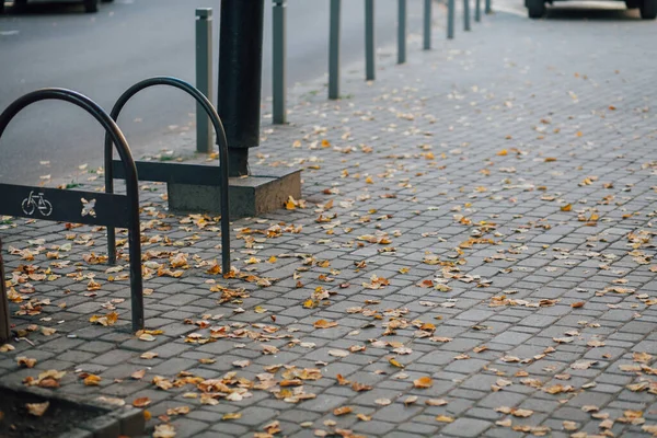 Pavimentazione Pietre Con Pali Ferro Piedi Sentiero Nel Parco — Foto Stock