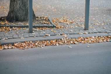 Parktaki yürüyüş yolunda demir kazıklı taşlar. 