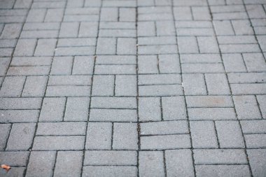 Gündüz vakti şehir parkında yürüyüş yolu taşları 