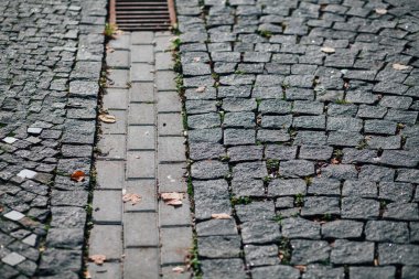 Gündüzleri şık bahçede çeşitli renklerde birbirine yakın köşeler.
