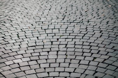 Gündüzleri şık bahçede çeşitli renklerde birbirine yakın köşeler.